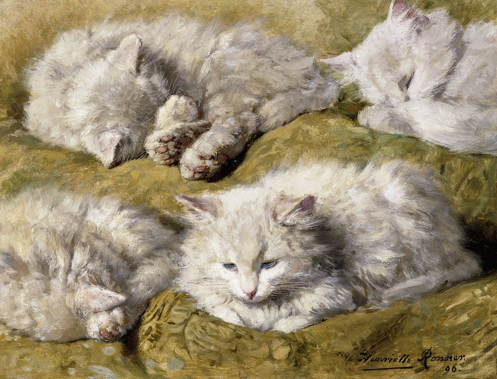Detail of Studies of a Long-haired White Cat by Henriette Ronner-Knip