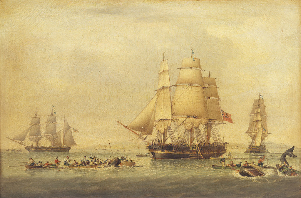 Detail of Whalers of the South Seas Fishery by John Ward of Hull