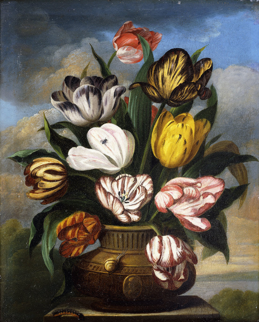 Detail of Tulips in a Vase, with a Caterpillar, a Snail, and a Fly, on a Plinth in a Landscape by James Sillett
