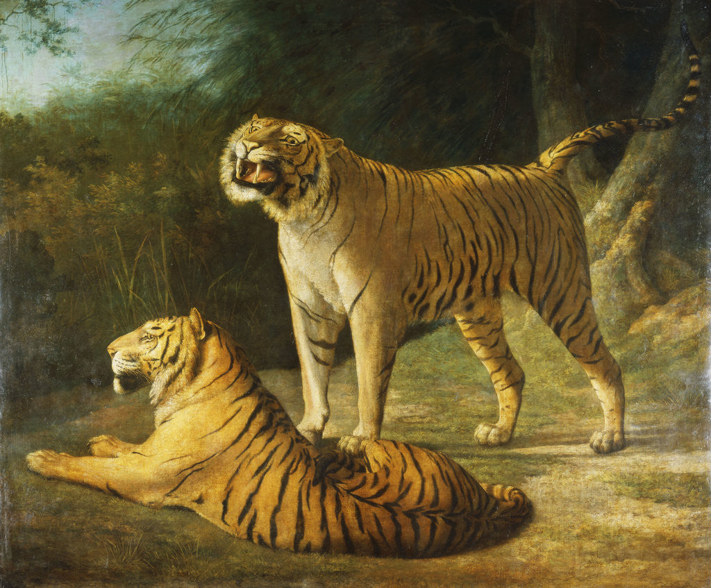 Detail of A Tiger and Tigress at the Exeter 'Change Menagerie in 1808 by Jacques-Laurent Agasse