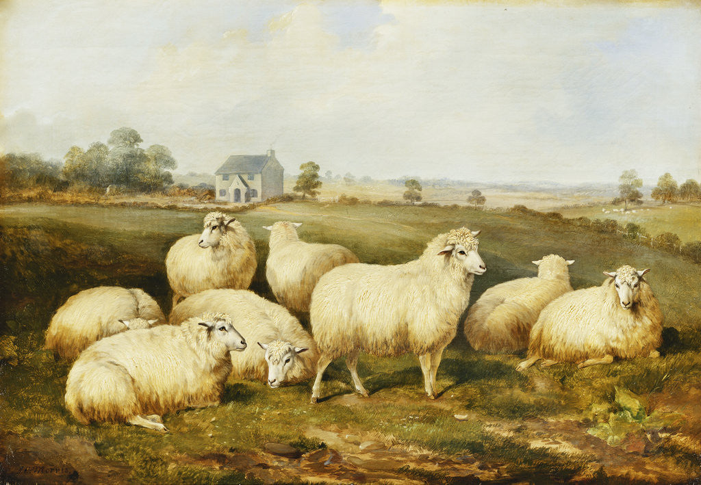 Detail of Sheep in a Meadow by James Charles Morris