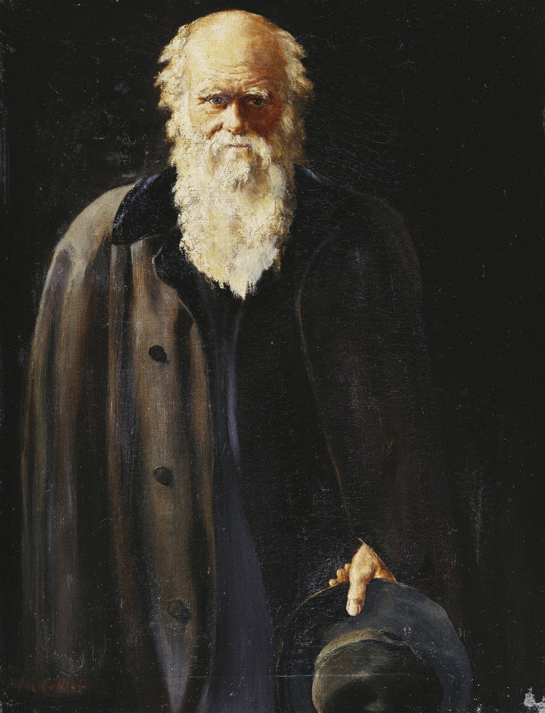 Detail of Portrait of Charles Darwin, standing three quarter length by John Collier