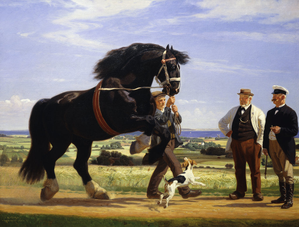 Detail of The Black Stallion by Rasmus Christiansen