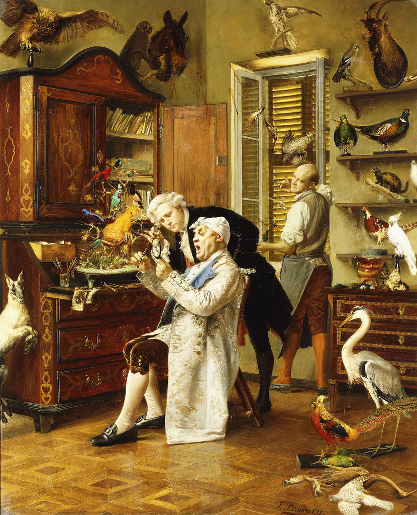 Detail of The Taxidermist by Francois Brunery