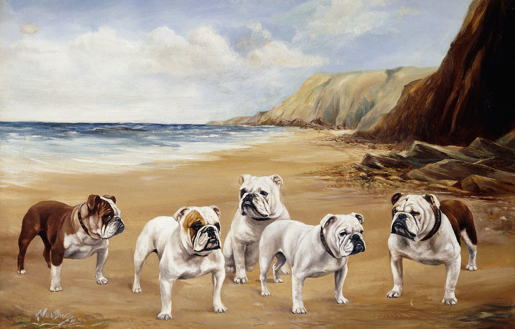 Detail of Bulldogs on a Beach by Reuben Ward Binks