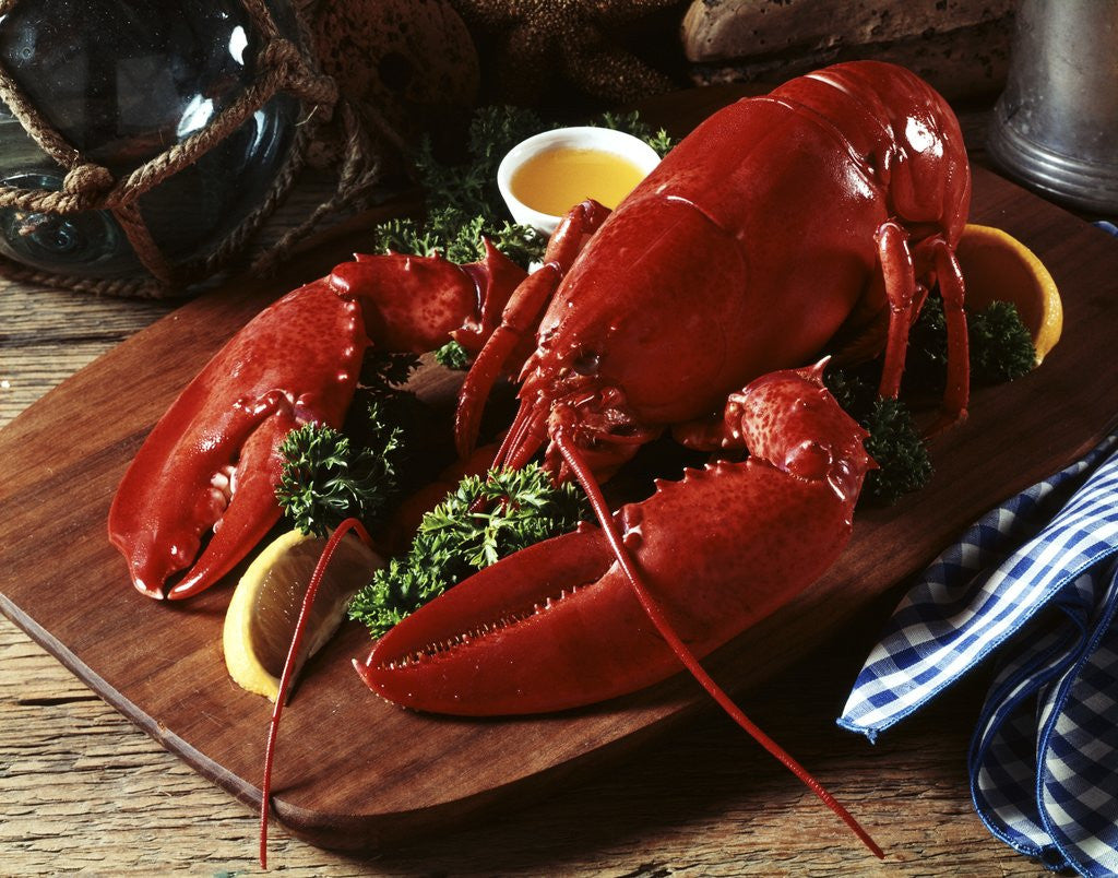 Detail of cooked Lobster On Wooden Platter With Lemon Wedge And Drawn Butter by Anonymous