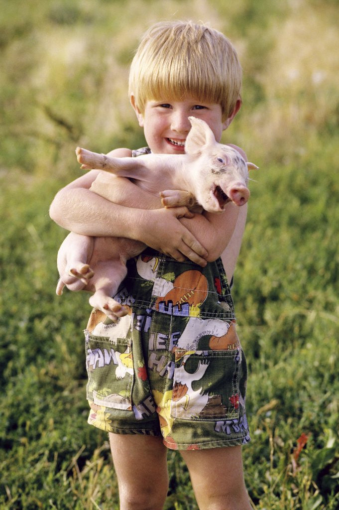 Detail of smiling Blond 4 Year Old Boy Holding Squealing Baby Pig by Anonymous