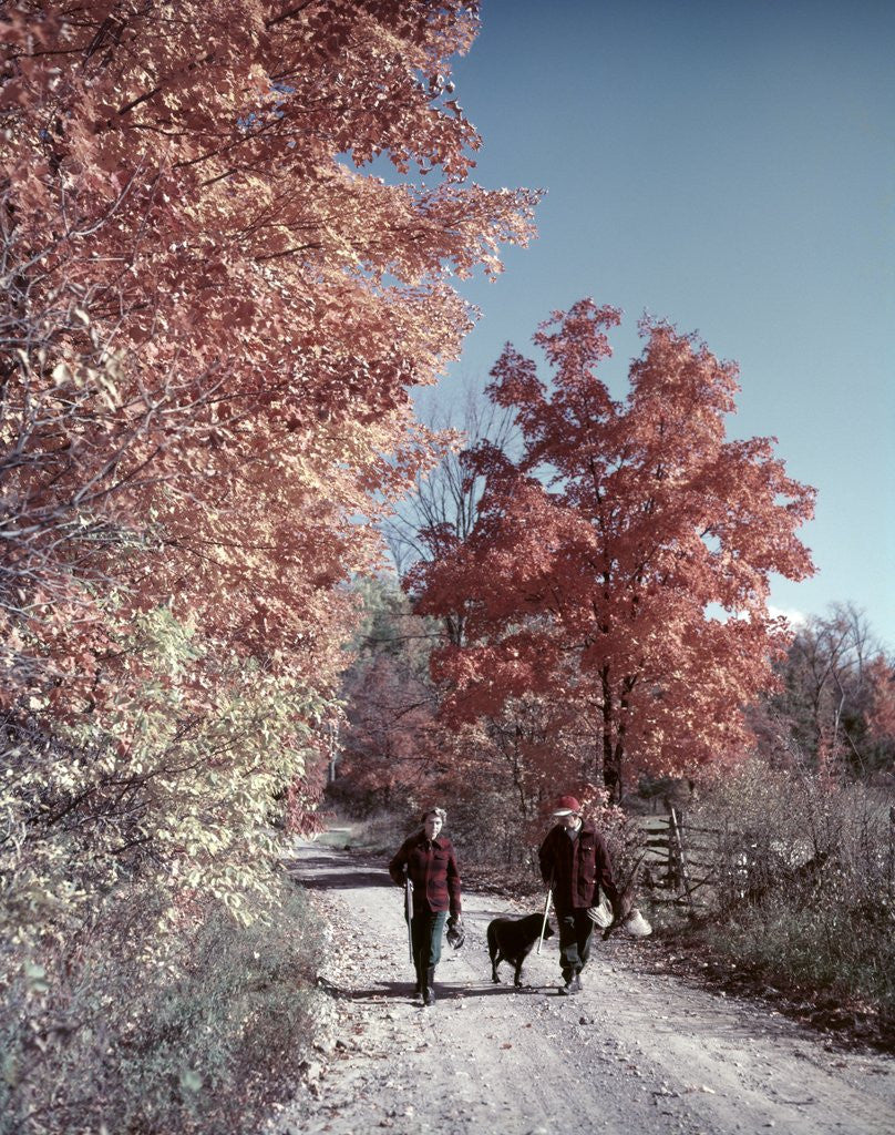 Detail of 1950s 1960s Senior Couple Man Woman Walking Autumn Country Road by Anonymous