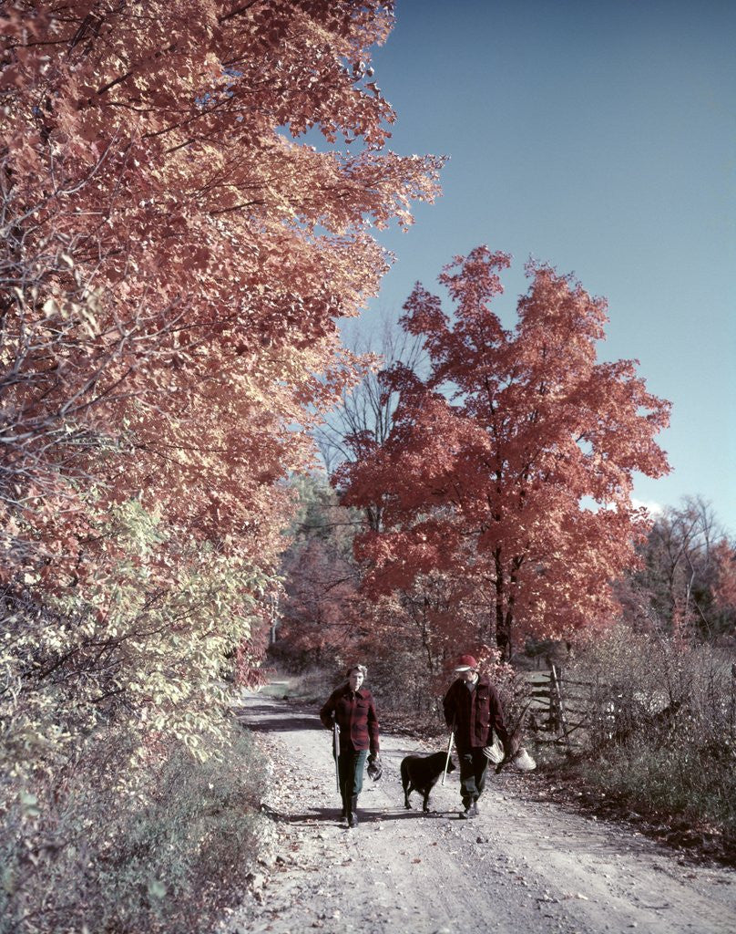 Detail of 1950s 1960s Senior Couple Man Woman Walking Autumn Country Road by Corbis