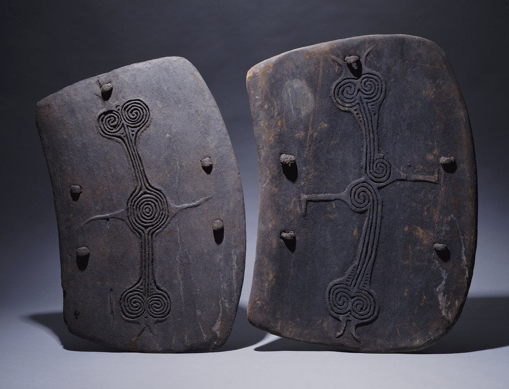 Detail of Two Lumi shields in rectangular form by Anonymous