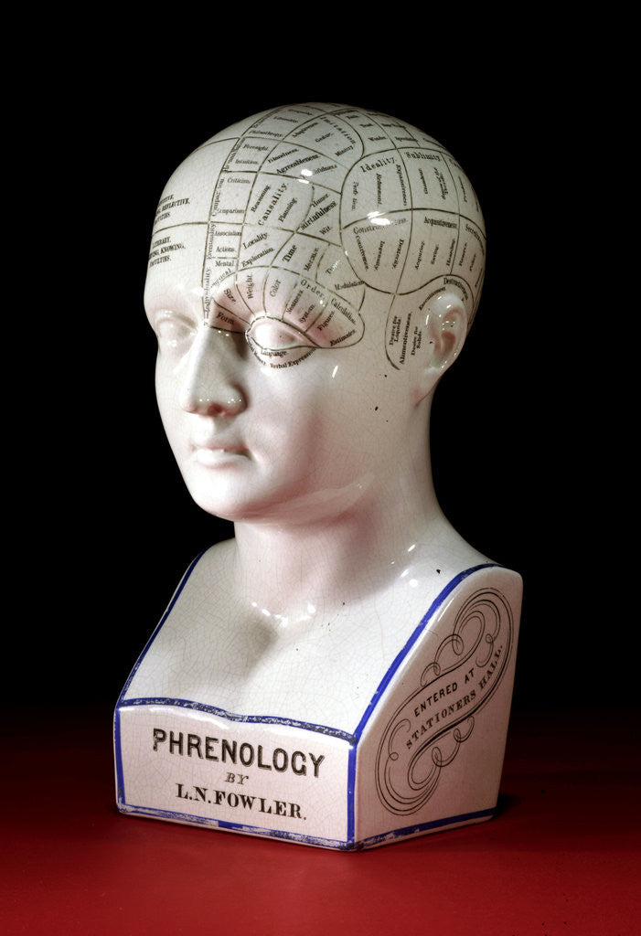 Detail of A porcelain phrenology head by L.N Fowler