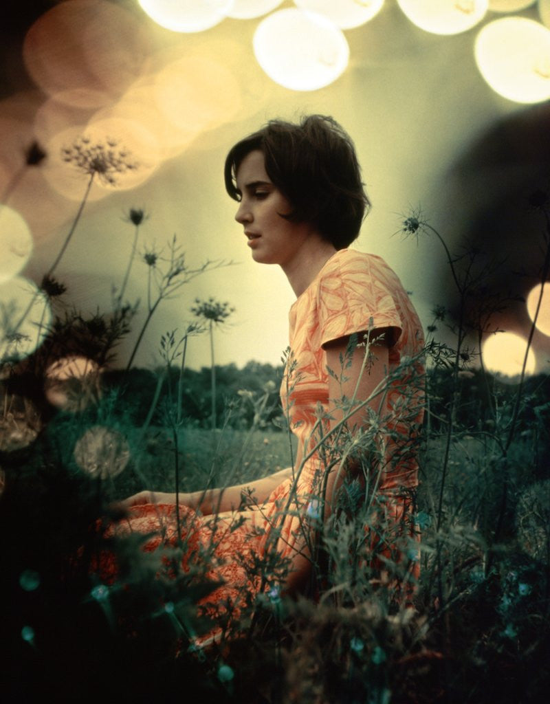 Detail of 1970s Serious Woman In Field Flowers With Soft Focus Special Effect by Anonymous