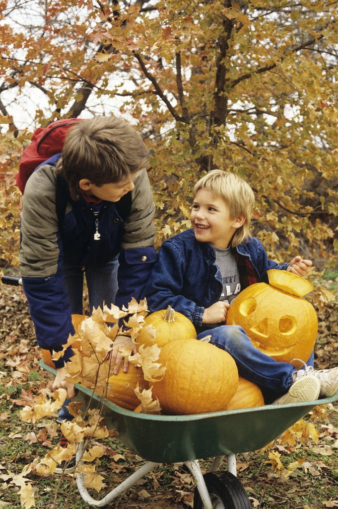 Detail of 1980s Two Boys With Wheel Barrow And Halloween Pumpkins by Corbis