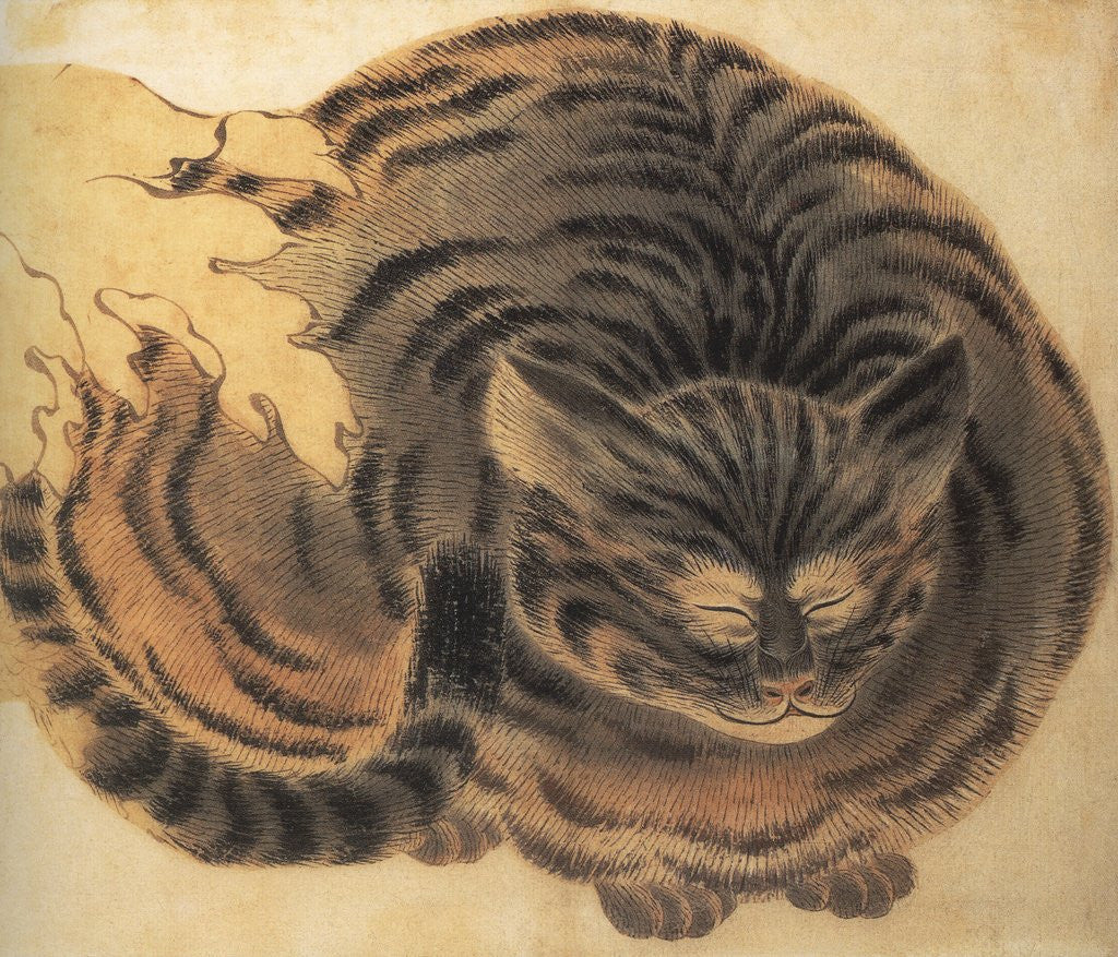 Detail of Contented cat by Corbis