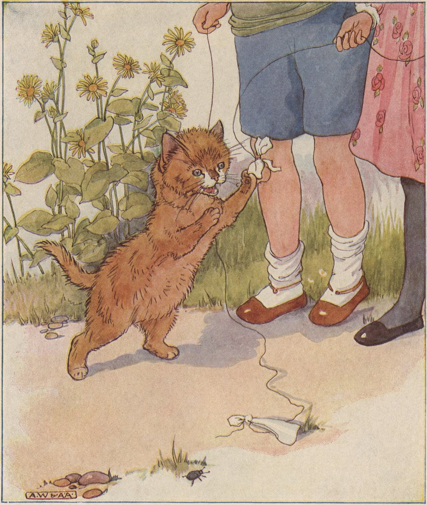 Detail of Kitten playing with string by Anonymous