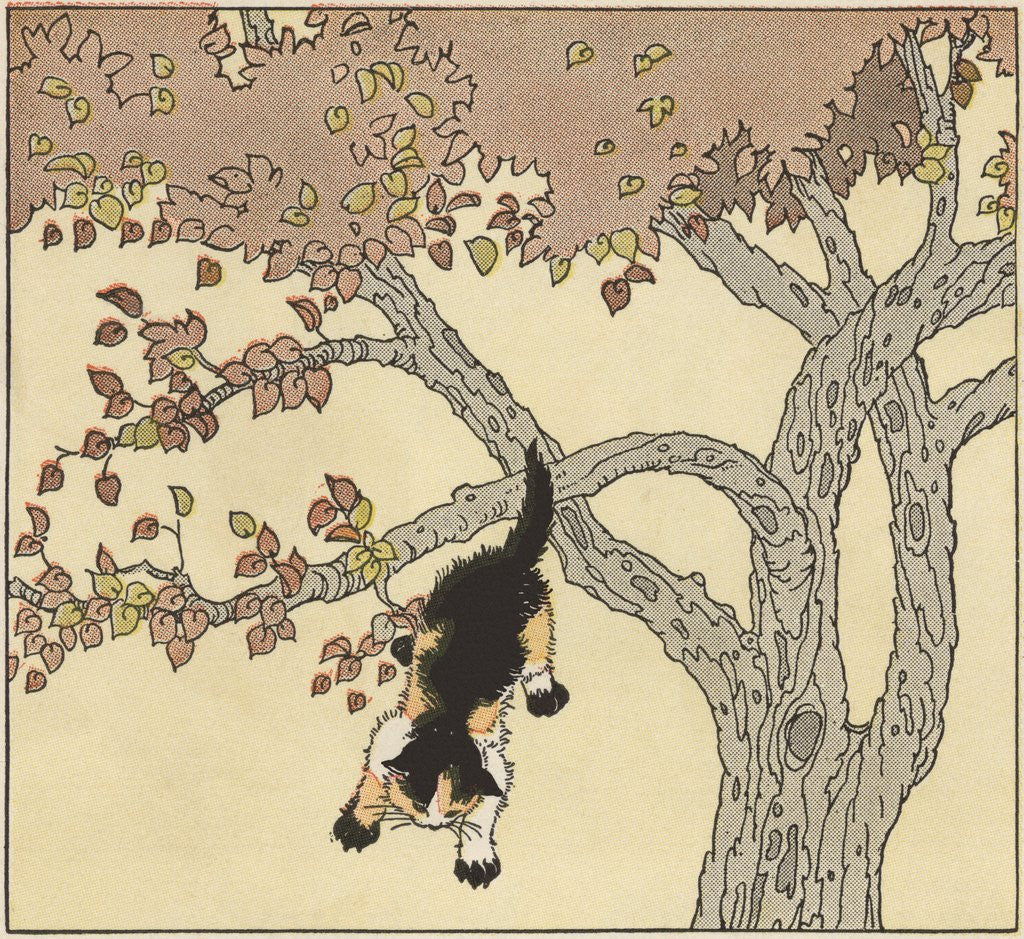 Detail of Kitten jumping from tree by Anonymous