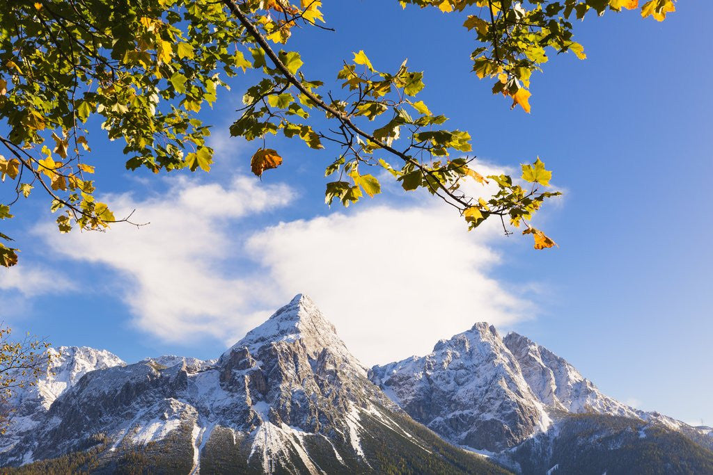 Detail of Mountain range in autumn by Anonymous