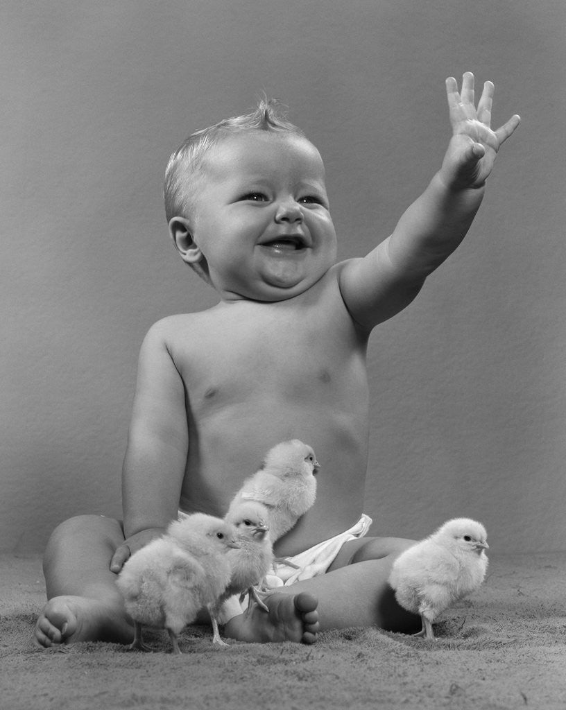 Detail of 1950s Laughing Waving Baby Surrounded By Little Baby Chicks by Corbis
