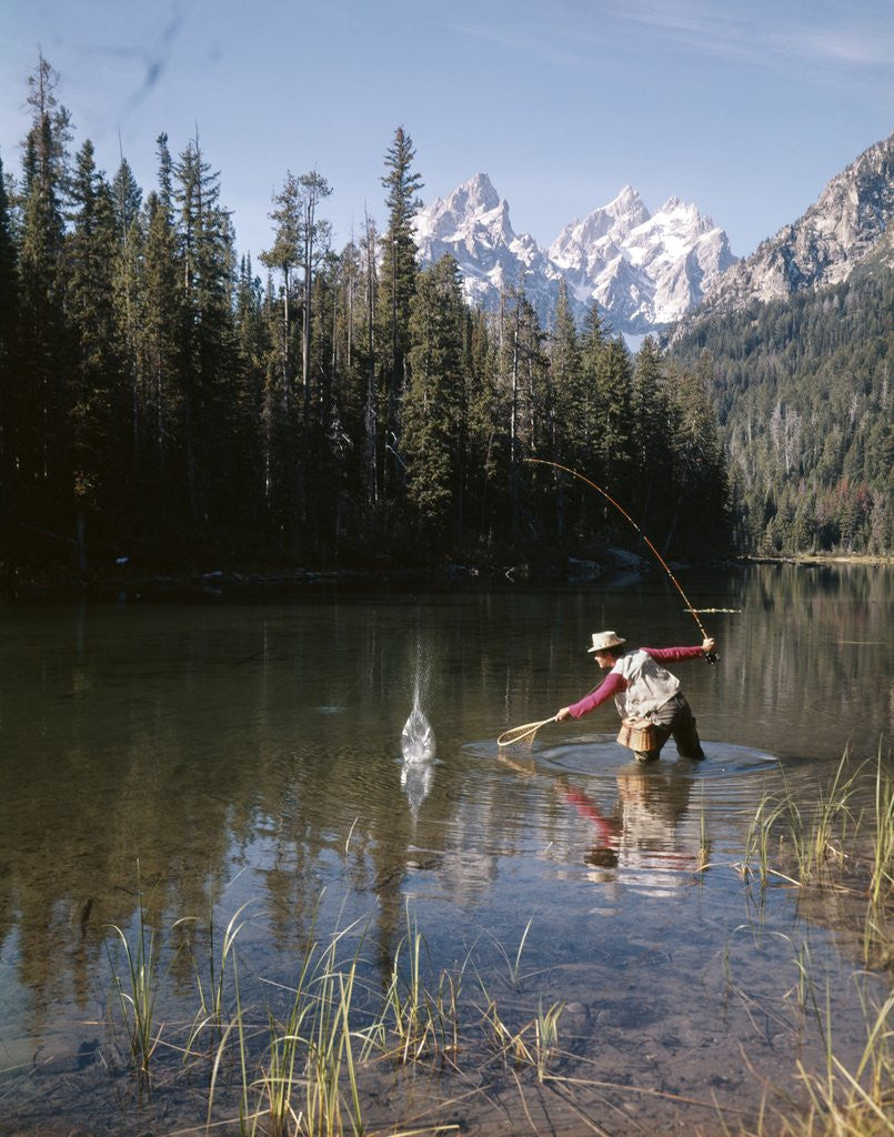 Detail of 1970s Man Fisherman Red Shirt In Rocky Mountains Stream Lake Fly Rod Catch Splashing On Line Net by Anonymous