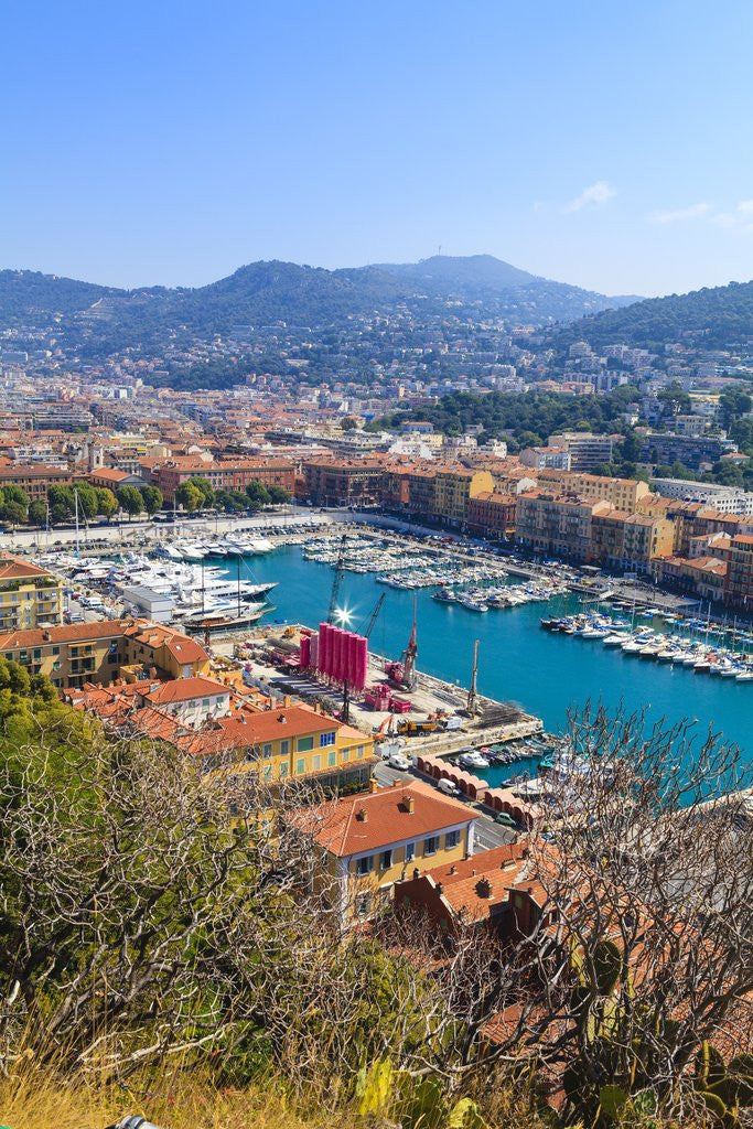Detail of The Port, Nice, Cote dAzur, France by Anonymous