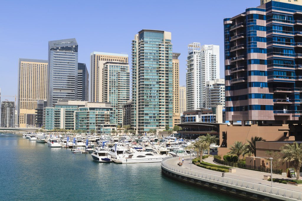 Detail of Dubai Marina by Anonymous