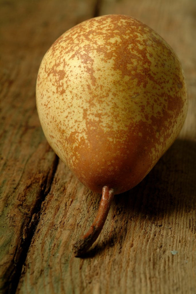 Detail of Pear by Anonymous