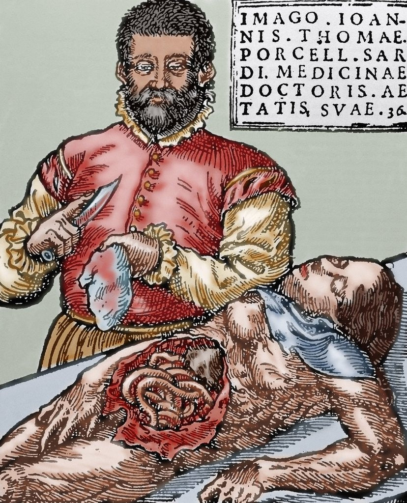 Detail of John Thomas Porcell (1528-ca.1580). Spanish doctor by Anonymous