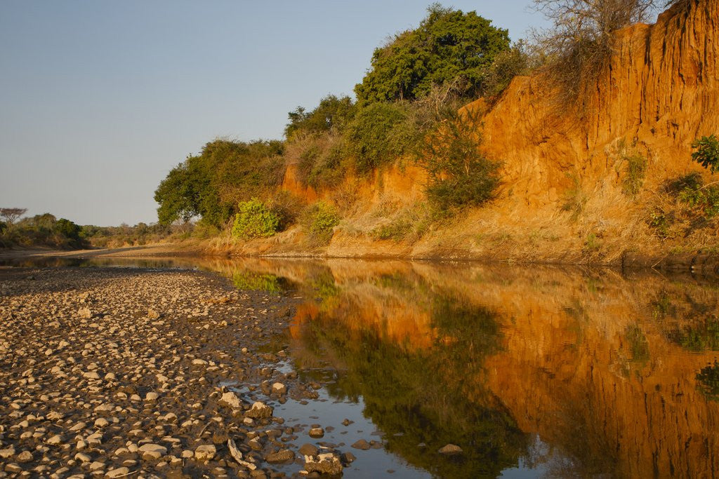 Detail of Riverbed, Zambezi National Park by Anonymous