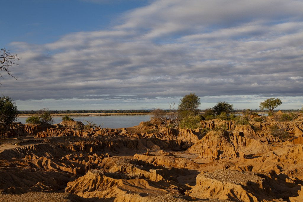 Detail of Banks Along Zambezi River by Anonymous