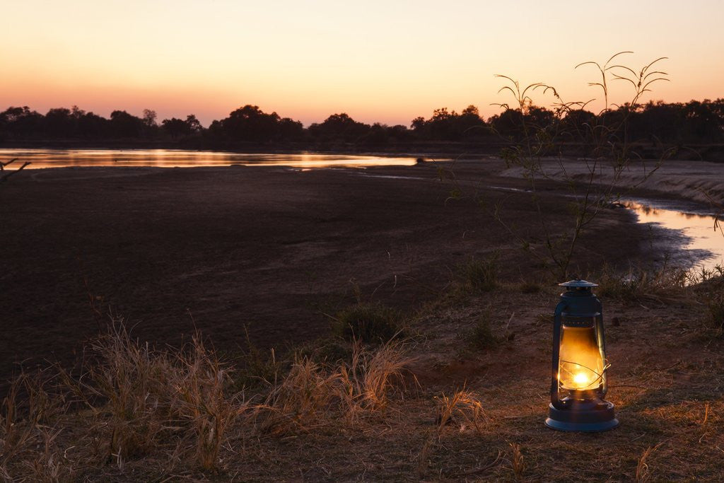 Detail of South Luwangua National Park at Dusk by Anonymous