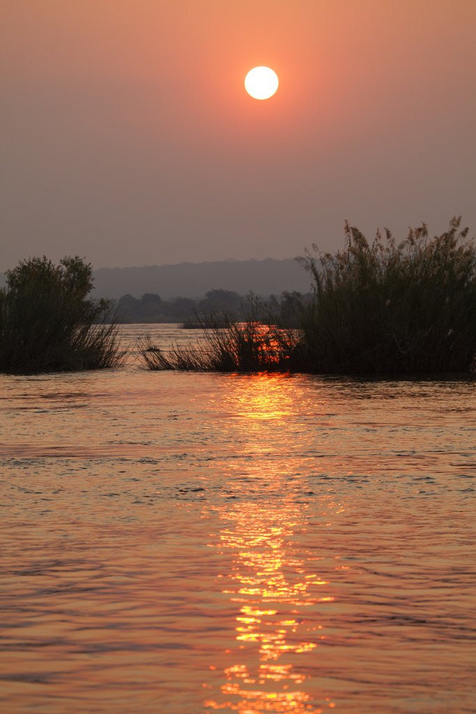 Detail of Kafue River at Dawn by Anonymous