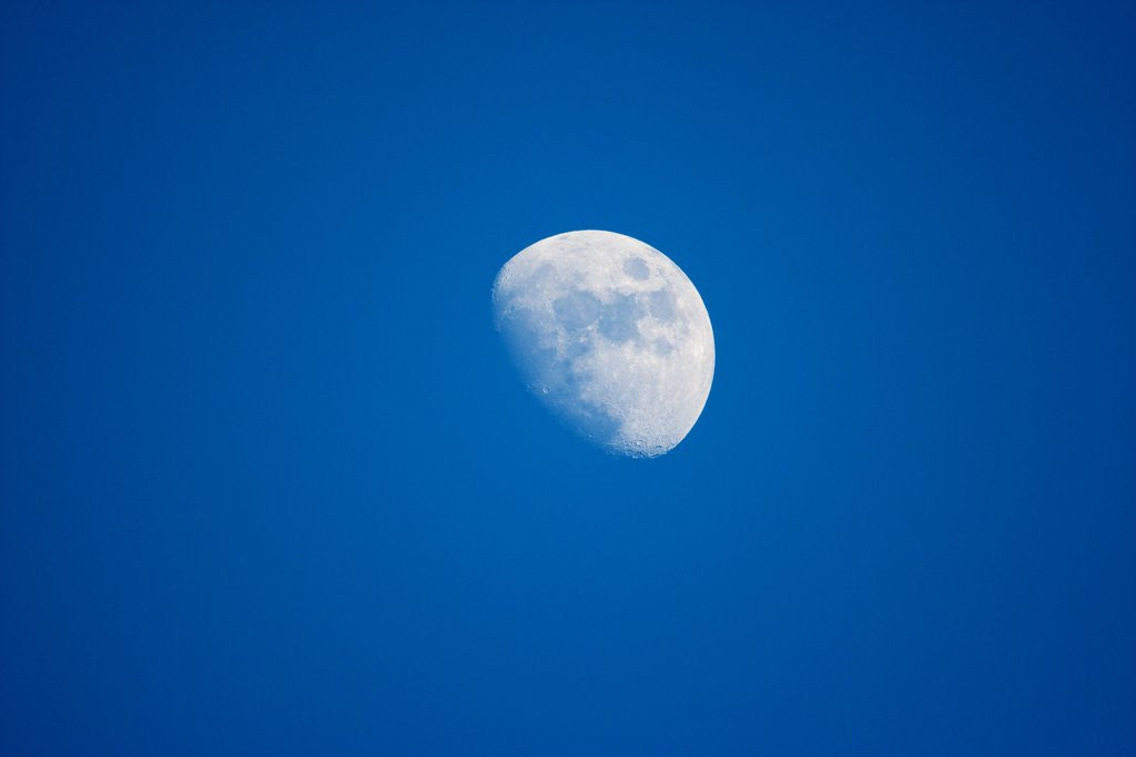 Detail of Moonrise, Acadia National Park, Maine by Anonymous
