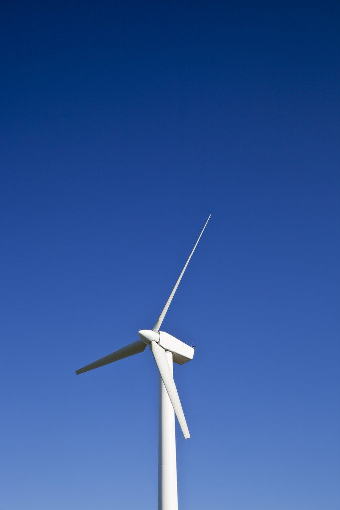 Detail of Windmill, Cleveland, Ohio by Anonymous