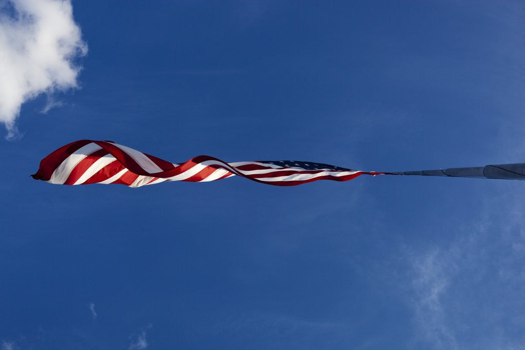Detail of American Flag, Washington by Corbis