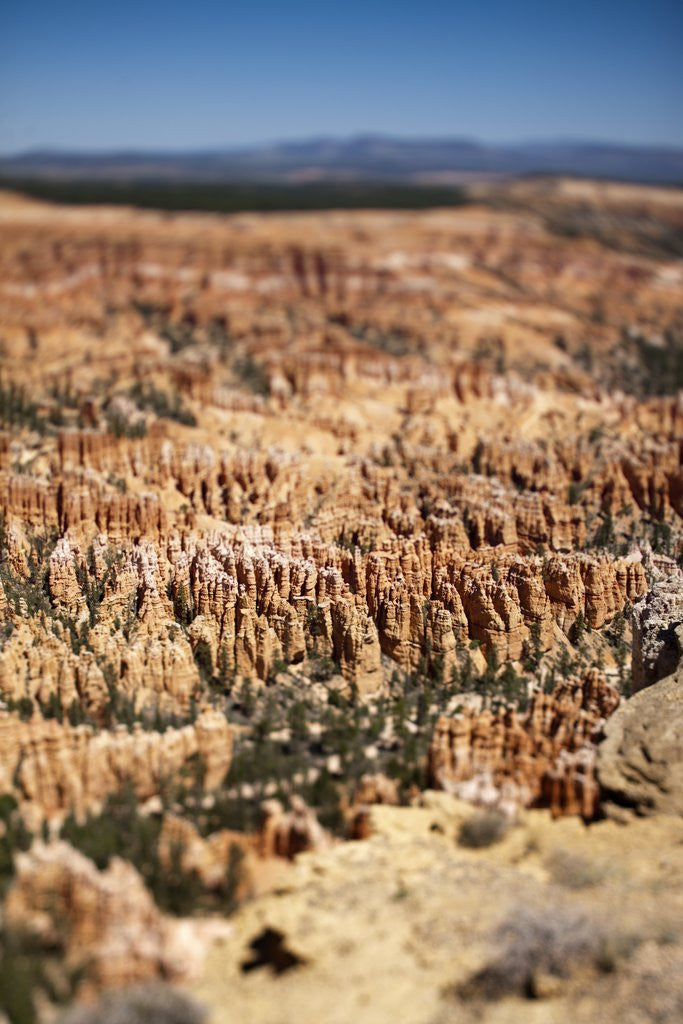 Detail of Bryce Canyon National Park, Utah by Anonymous