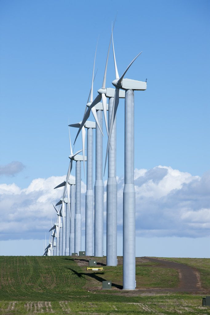 Detail of Windmills, Wallula, Washington by Anonymous