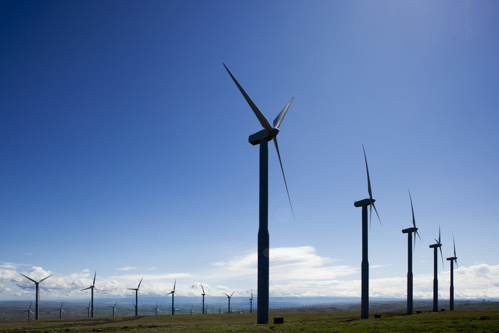 Detail of Windmills, Wallula, Washington by Anonymous
