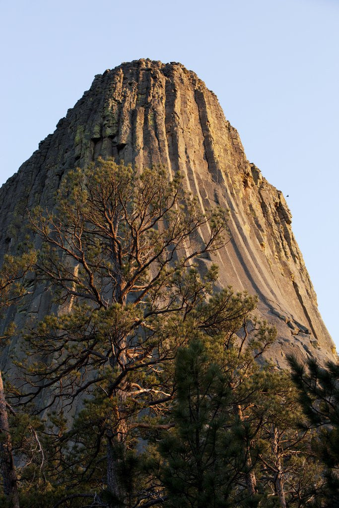 Detail of Devils Tower National Monument, Wyoming by Corbis