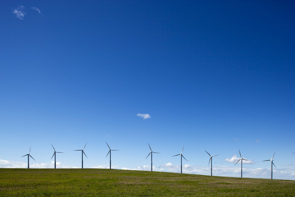 Detail of Windmills, Wallula, Washington by Anonymous