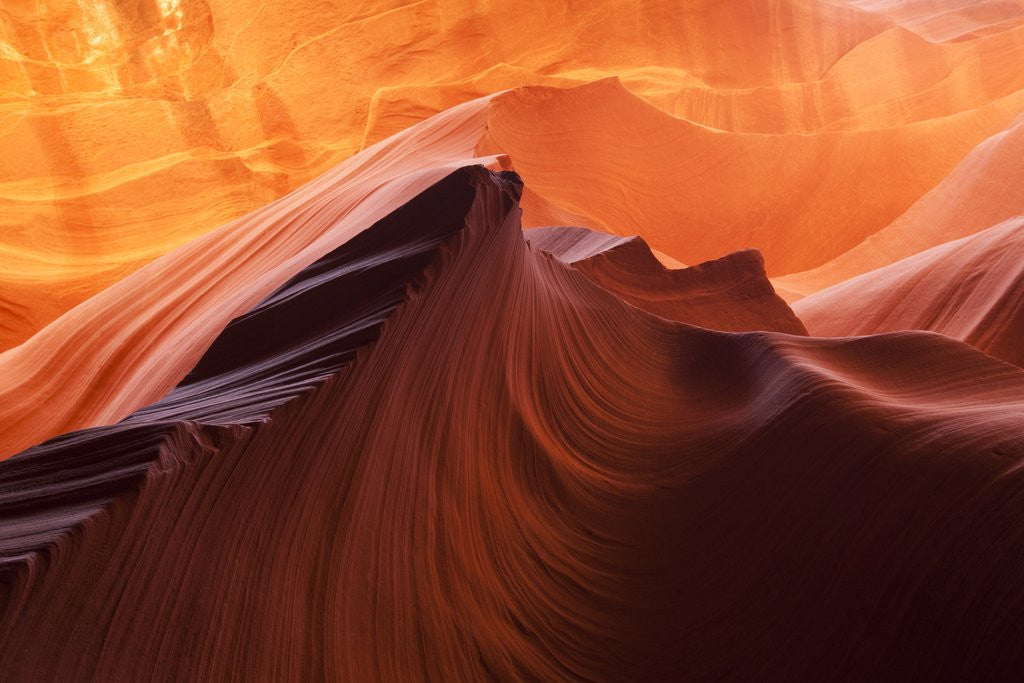 Detail of Antelope Canyon, Page, Arizona by Anonymous