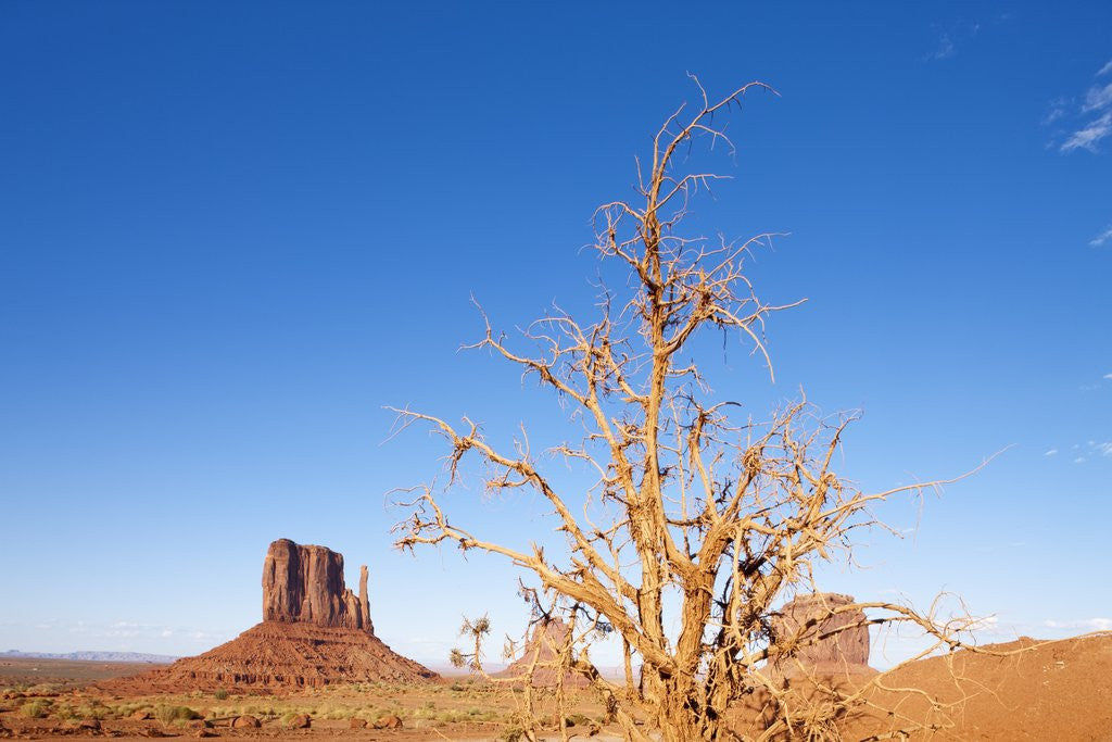 Detail of Monument Valley, Arizona by Anonymous