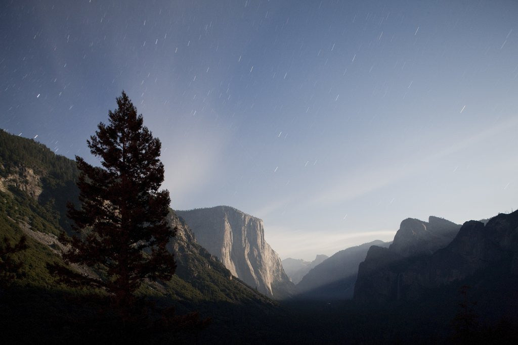 Detail of Yosemite National Park, California by Anonymous