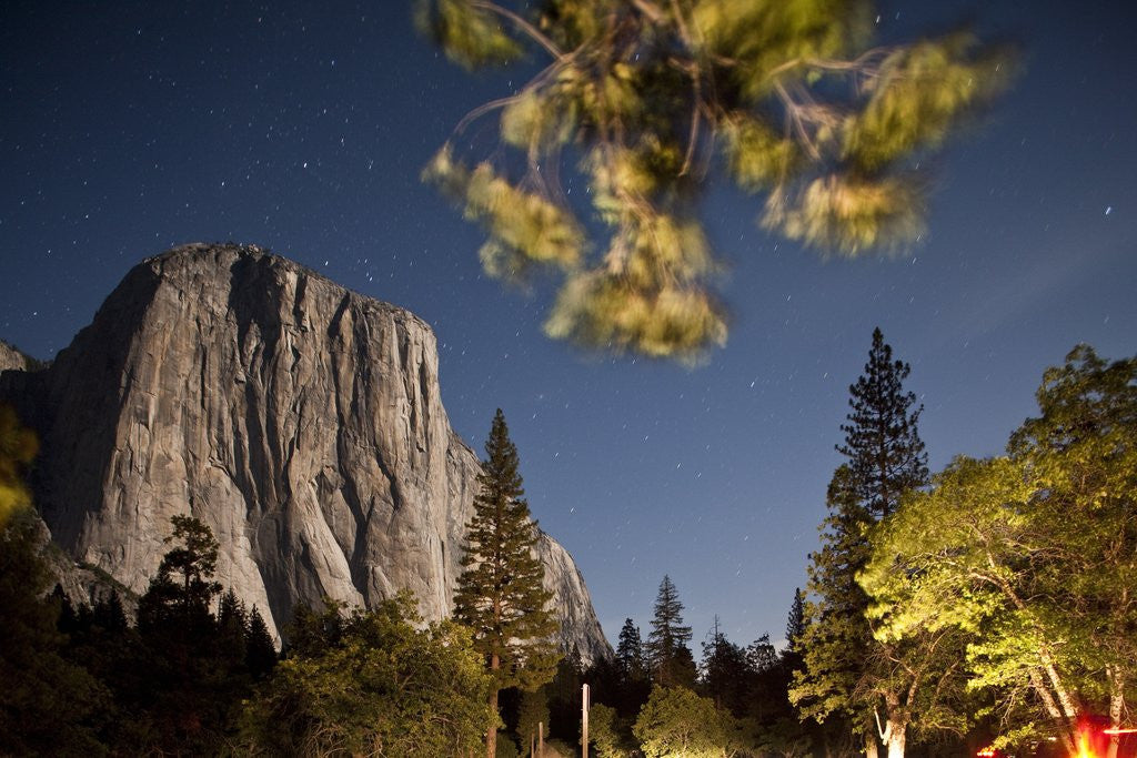 Detail of Yosemite National Park, California by Anonymous