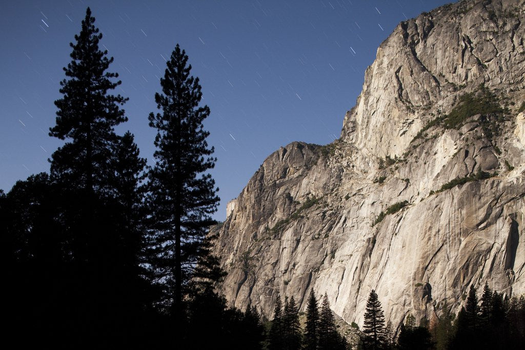 Detail of Yosemite National Park, California by Anonymous