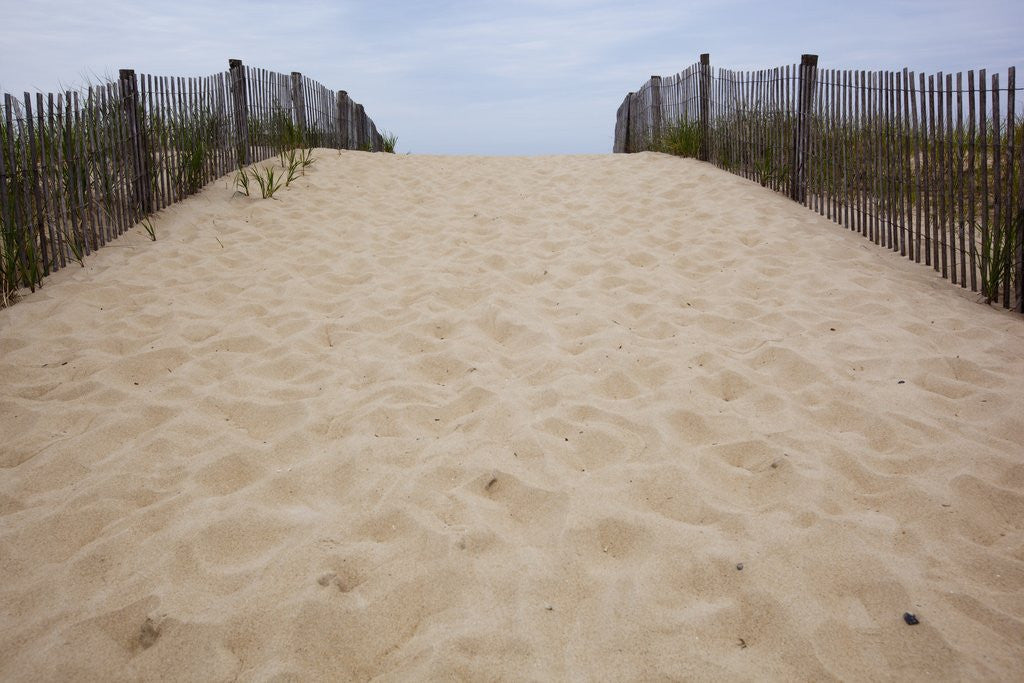 Detail of Rehobeth Beach, Delaware by Anonymous