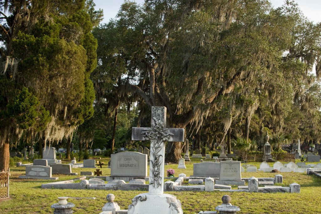 Detail of Bonaventure Cemetery, Savanna, Georgia by Anonymous