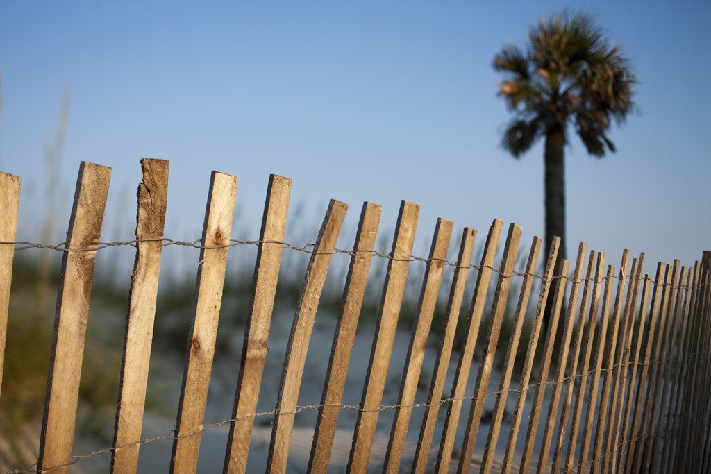 Detail of Beach at Sunset, Tybee Island, Georgia by Anonymous
