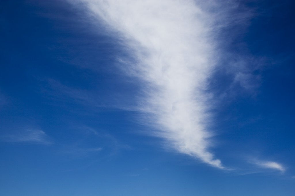 Detail of Cape Cod, Massachusetts by Anonymous