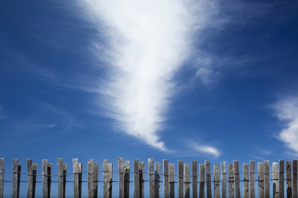 Detail of Cape Cod, Massachusetts by Anonymous