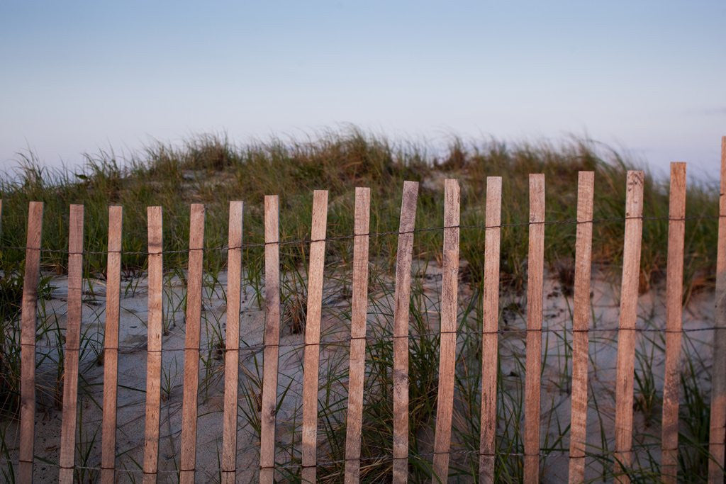 Detail of Fence in Sand Dunes, Cape Cod, Massachusetts by Corbis